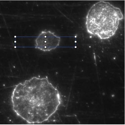 Leica DM6 M 的所有系統(tǒng)組件 Leica DM6 M 的所有系統(tǒng)組件
